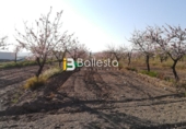 Non-developable land for sale in Huércal-Overa ref: TR37082 photo