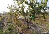 Non-developable land for sale in Huércal-Overa ref: TR37082 photo