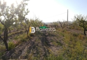 Non-developable land for sale in Huércal-Overa ref: TR37082 photo