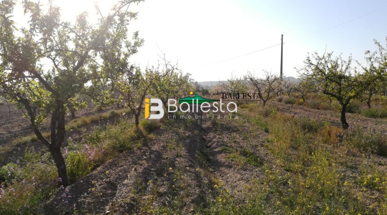Almería - Huércal-Overa - 15143m2