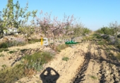 Non-developable land for sale in Huércal-Overa ref: TR37082 photo