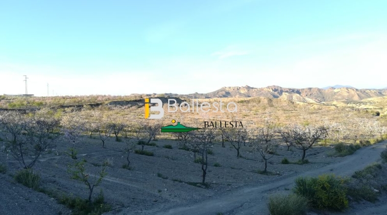 Almería - Huércal-Overa - 38851m2