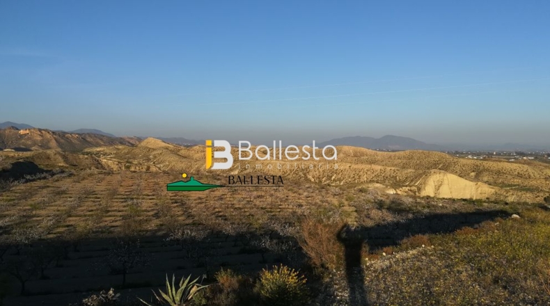 Almería - Huércal-Overa - 38851m2