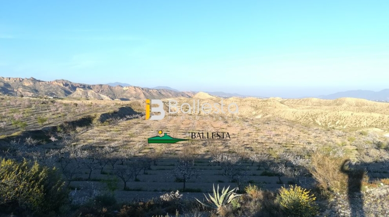Almería - Huércal-Overa - 38851m2