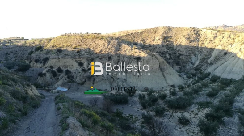 Almería - Huércal-Overa - 38851m2
