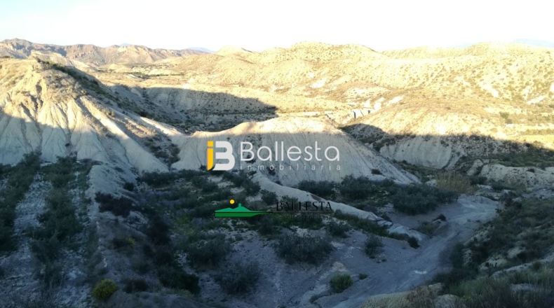 Almería - Huércal-Overa - 38851m2