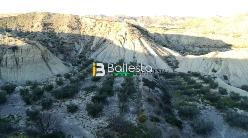 Almería - Huércal-Overa - 38851m2