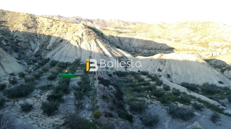 Almería - Huércal-Overa - 38851m2