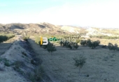 Terreny no urbanitzable en venda a Huércal-Overa ref.: TR37079 foto