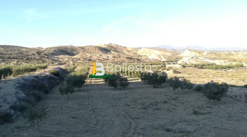 Almería - Huércal-Overa - 17381m2