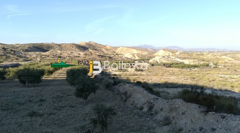 Almería - Huércal-Overa - 17381m2