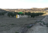 Terreny no urbanitzable en venda a Huércal-Overa ref.: TR37079 foto