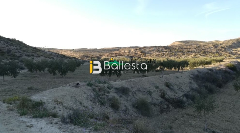Almería - Huércal-Overa - 17381m2