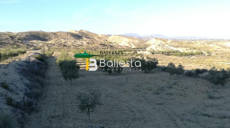 Almería - Huércal-Overa - 17381m2