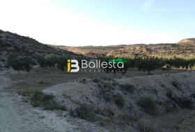 Foto 9