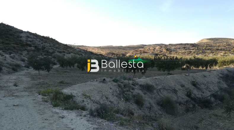 Almería - Huércal-Overa - 17381m2