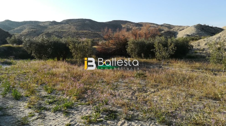 Almería - Huércal-Overa - 17401m2