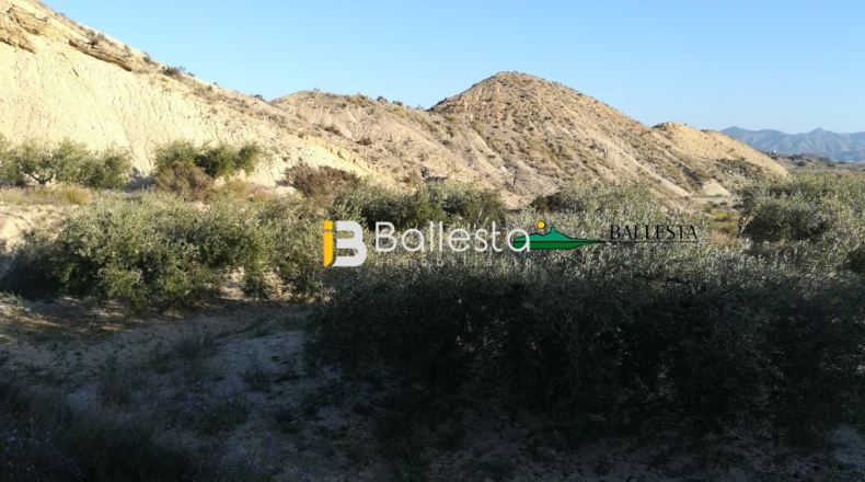 Almería - Huércal-Overa - 17401m2