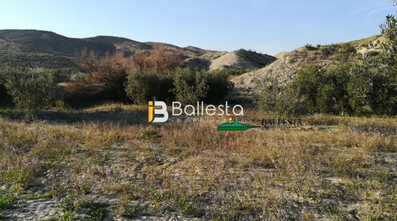 Almería - Huércal-Overa - 17401m2