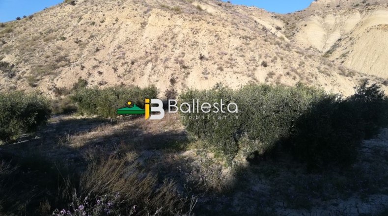 Almería - Huércal-Overa - 17401m2