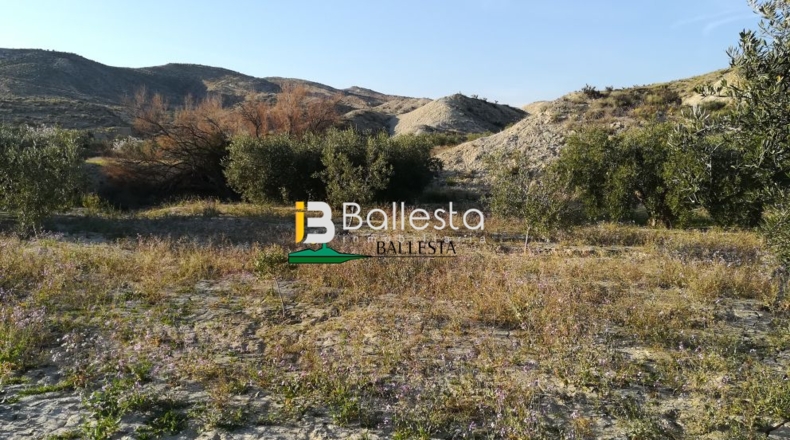 Almería - Huércal-Overa - 17401m2
