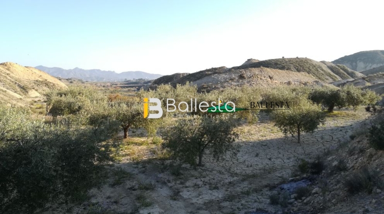 Almería - Huércal-Overa - 17401m2
