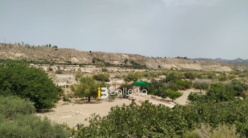 Almería - El Saltador - 10000m2