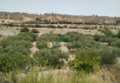 Non-developable land for sale in Huércal-Overa ref: TR73646 photo
