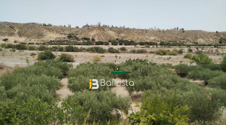 Almería - El Saltador - 10000m2