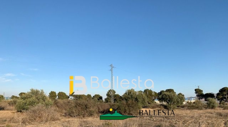 Almería - Huércal-Overa - 16943m2