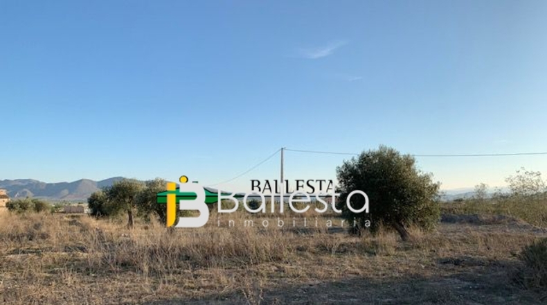 Almería - Huércal-Overa - 16943m2