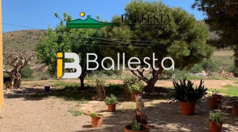 Almería - Pulpí - 6500m2