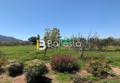 Finca rústica en venta en Pulpí ref: TR15943 foto