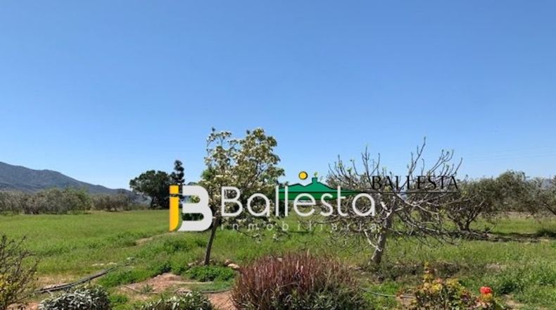 Almería - Pulpí - 6500m2