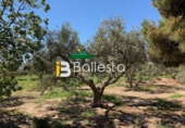 Finca rústica en venta en Pulpí ref: TR15943 foto