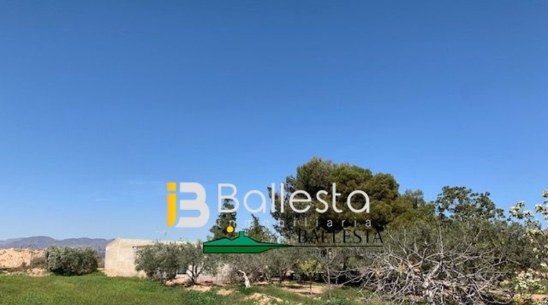 Almería - Pulpí - 6500m2