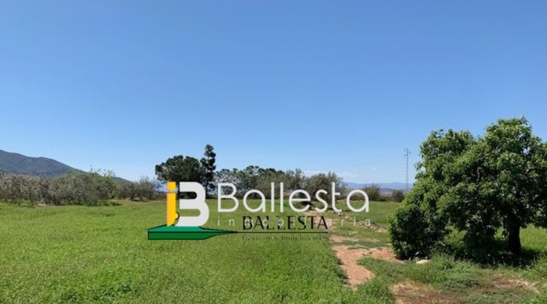 Almería - Pulpí - 6500m2