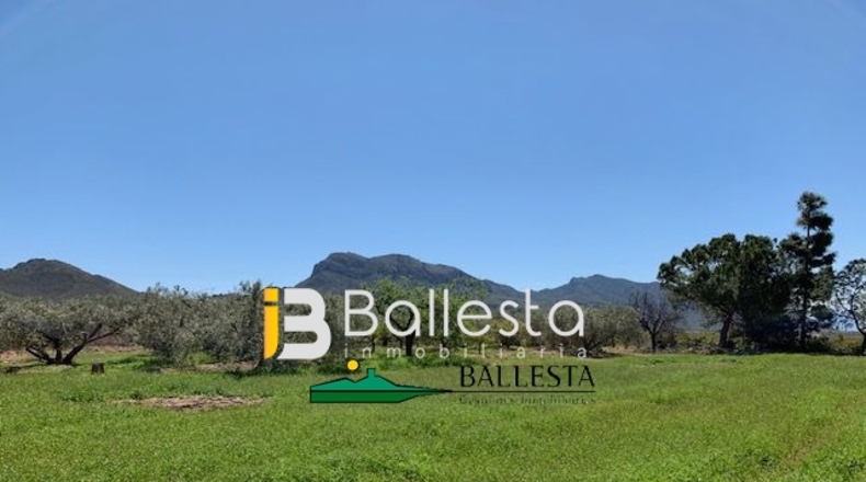 Almería - Pulpí - 6500m2