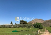 Finca rústica en venta en Pulpí ref: TR15943 foto