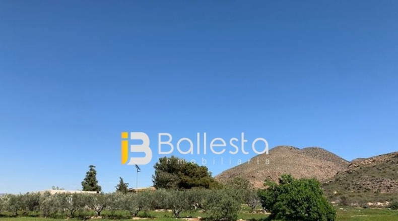 Almería - Pulpí - 6500m2