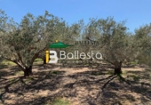 Finca rústica en venta en Pulpí ref: TR15943 foto