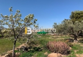 Finca rústica en venta en Pulpí ref: TR15943 foto