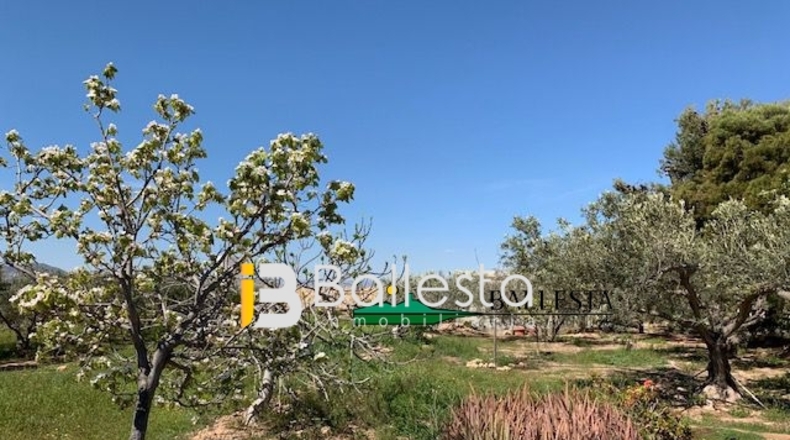 Almería - Pulpí - 6500m2