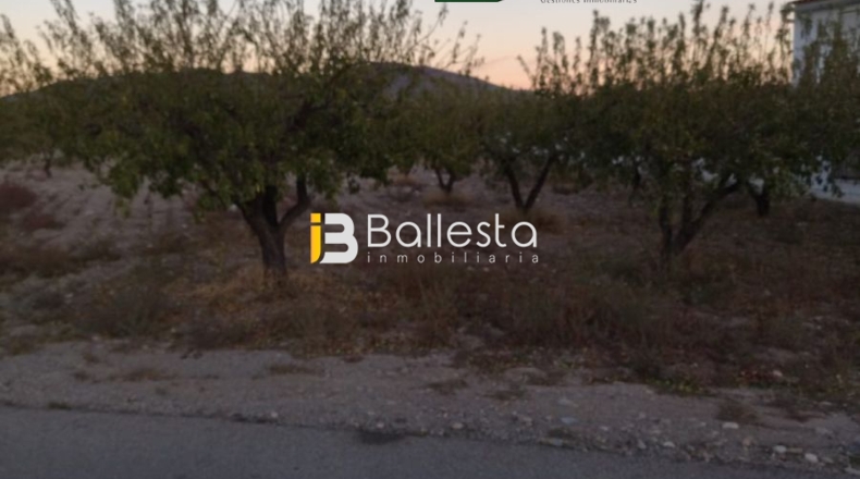 Almería - Las Labores - 4000m2