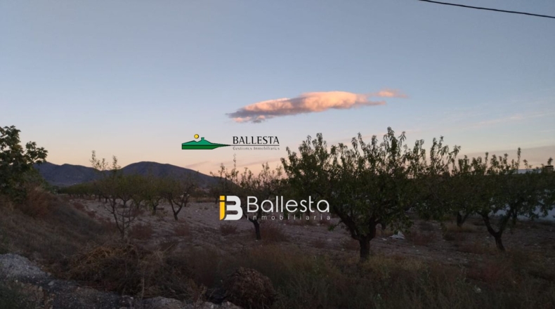 Almería - Las Labores - 4000m2