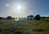 Rural estate for sale in Huércal-Overa ref: TR48498 photo