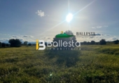 Rural estate for sale in Huércal-Overa ref: TR48498 photo