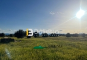 Rural estate for sale in Huércal-Overa ref: TR48498 photo