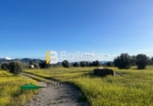 Rural estate for sale in Huércal-Overa ref: TR48498 photo