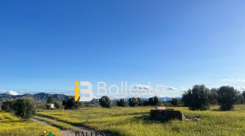 Almería - Huércal-Overa - 40156m2